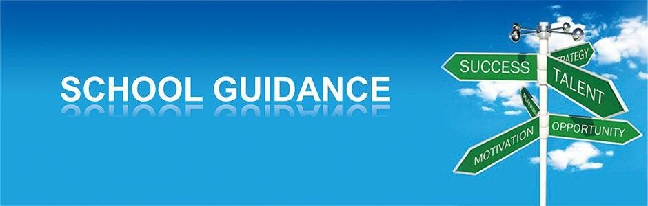 School Guidance National